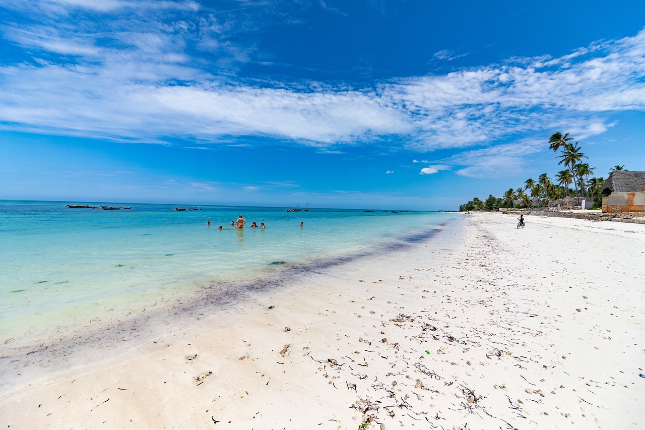 zanzibar, beach, ocean-4948788.jpg